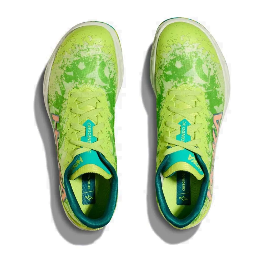 All Gender Crescendo XC Cross Country Spike - Lettuce/Electric Lime - Regular (D)