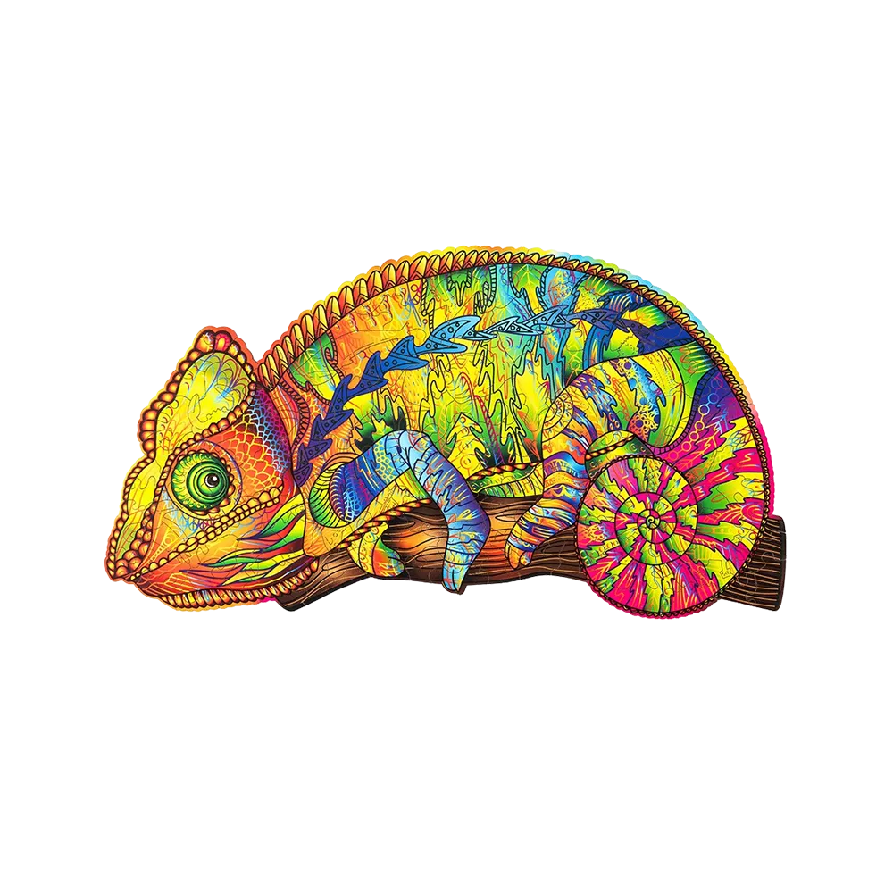 Colorful Chameleon