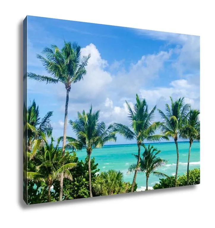 Gallery Wrapped Canvas, Palm Tree On The Miami Beach Florida USA