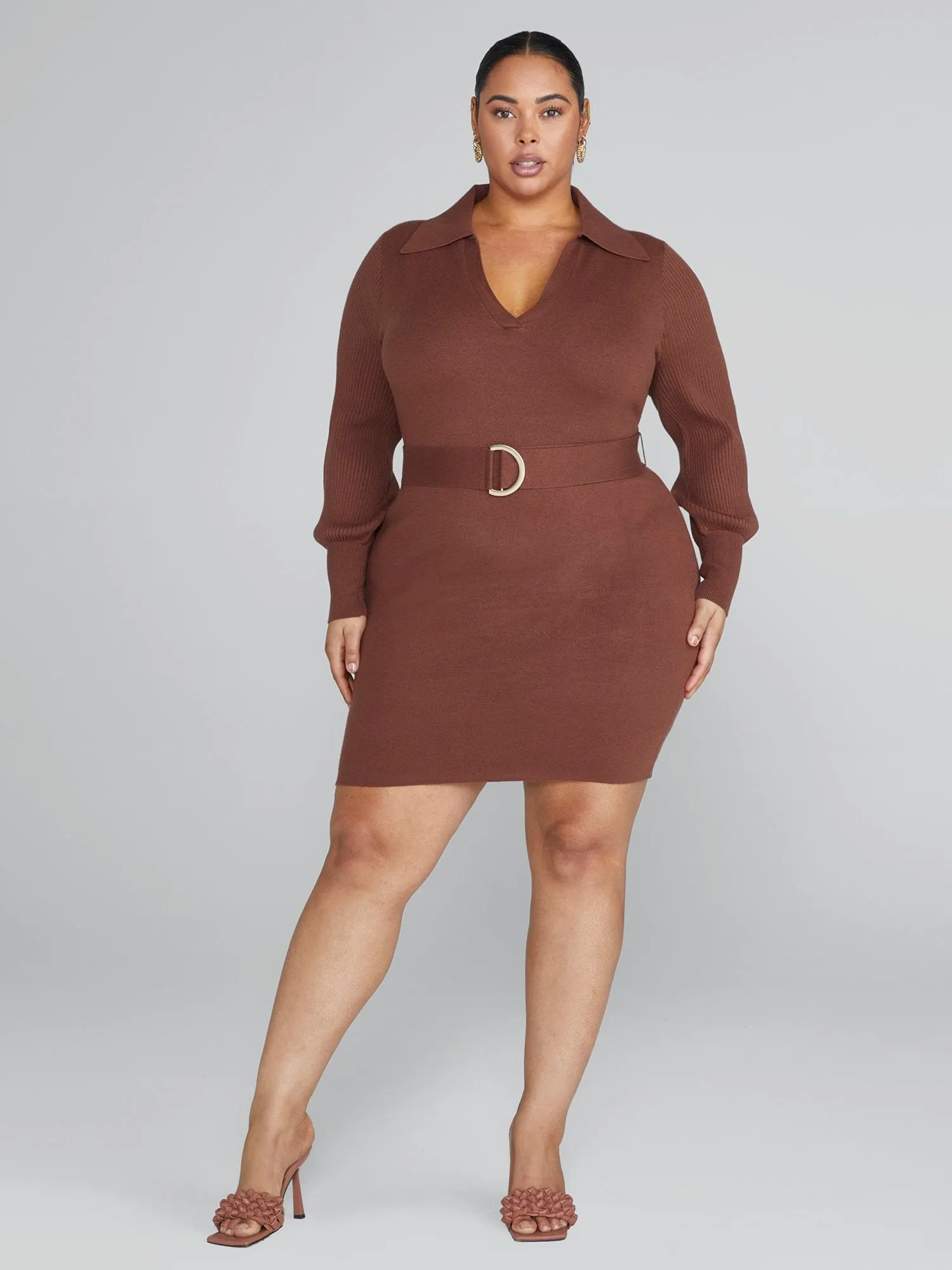 Julia Belted Sweater Dress