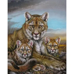 Tiger  - Full Round Diamond - 30x40CM